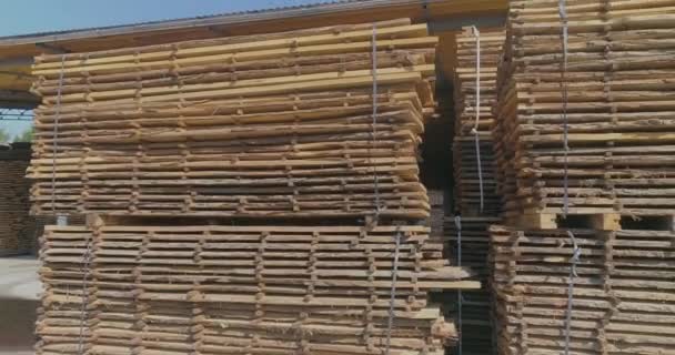 Kering Kayu alami. Penghapusan air dari kayu dengan matahari dan angin. Pengeringan kayu di luar ruangan di bawah matahari — Stok Video