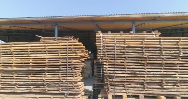 Secar la madera al aire libre bajo el sol. Secado de Madera Naturalmente. la eliminación del agua de la madera con el sol y el viento. — Vídeo de stock