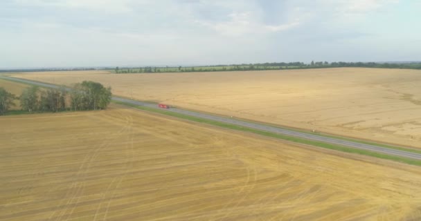 도로 항공 사진 옆에는 밀 밭 이 있다. 화려 한 밀밭 옆에 차가 있는 도로. 길가 밀밭 위를 날고 있는 모습 — 비디오