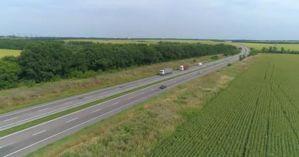 Camioane plimbari pe autostrada moderna in jurul valorii de iarba verde vedere de sus. Camion pe autostrada vedere de la drona. — Videoclip de stoc