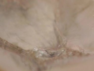 Su kanalizasyona akıyor. Kanalizasyona su boşaltıyorum. Kimyasal atık su gideri