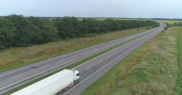 Snelweg buiten de stad, velden aan de rand van de weg. Weg met auto 's boven uitzicht. — Stockvideo