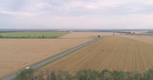 A highway with cars next to a colorful wheat field. Flying over a wheat field next to the road. Wheat field next to the road aerial view. — Stock Video