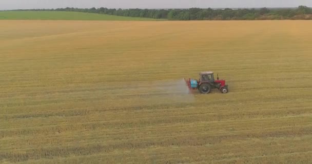 Spraying wheat fields with pesticides. Protection against pests of the field with wheat. Tractor sprays wheat drone view — Stock Video