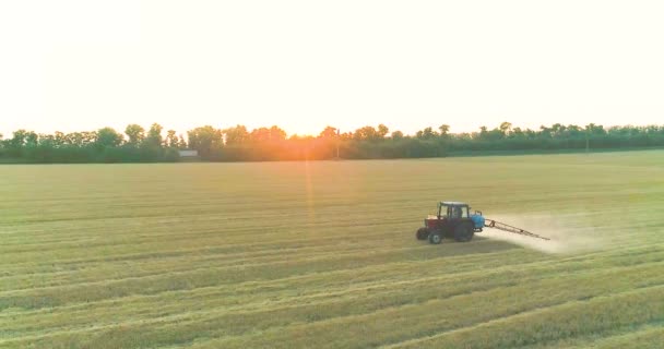 Postřikování pšeničných polí pesticidy. Ochrana proti škůdcům na poli s pšenicí. Traktor rozstřikuje pohled na pšeničný dron — Stock video