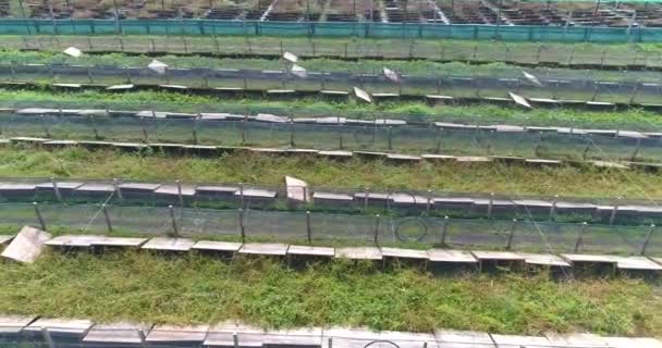 Πετώντας πάνω από τις σειρές των αναπτυσσόμενων σαλιγκαριών. Καλλιεργούν σαλιγκάρια σε φάρμα. Πάνω όψη φάρμας σαλιγκαριών — Αρχείο Βίντεο