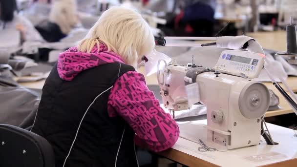 Швея работает на швейной фабрике. Текстильное производство. рабочий процесс. Шитье на профессиональном оборудовании — стоковое видео