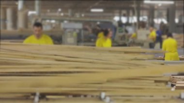 Mobilya fabrikasında çalışma süreci. İnsanlar bir mobilya fabrikasının taşıma bandında çalışıyor.