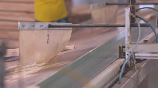 Furniture board production process. Furniture manufacture. Woodworking for furniture production. Automated production line at a furniture factory. Automated conveyor belt at a furniture factory — Stockvideo