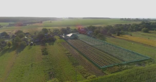 Flyga över en liten luft på landsbygden. Liten gård på landet vid solnedgången. Flygbild från jordbruket. Gård från luften — Stockvideo