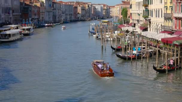 Gondelaars in het Canal Grande, Venetië, Italië. Oude stad van Venetië — Stockvideo