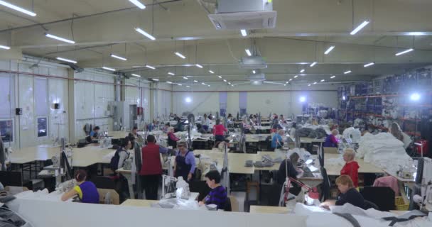 Μεγάλη παραγωγή ραπτικής. Υπάρχουν πολλές μοδίστρες στο εργαστήριο. Εσωτερικό εργοστασίου ρούχων. Γυναίκες στη βιομηχανία ραψίματος — Αρχείο Βίντεο