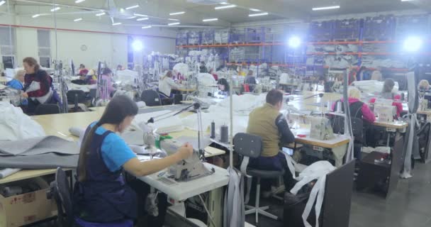 Krawcowa pracuje w fabryce szycia. produkcja szycia. Produkcja tekstylna. Duży warsztat szycia — Wideo stockowe