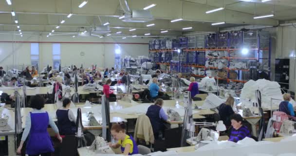 Producción de costura, las mujeres trabajan para máquinas de coser. Muchas costureras trabajan en una fábrica de ropa. Proceso de trabajo en una fábrica de prendas. — Vídeo de stock