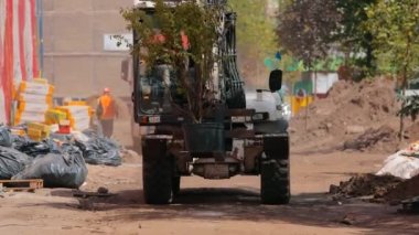 Bir forklift saksıda ağaç taşır. Şehirde ağaç dikiyorum. Şehrin yeşillenmesi