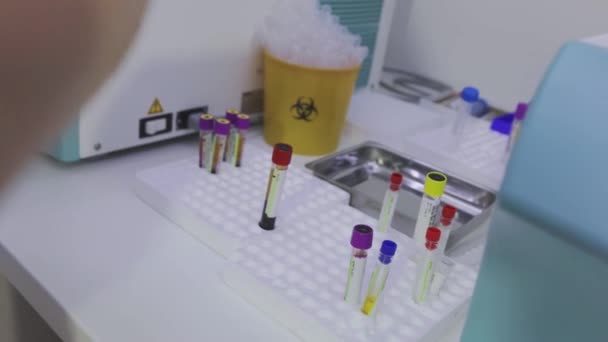 Arbeit im Labor. Eine Laborantin hält Reagenzgläser in den Händen. Arbeitsablauf im Labor — Stockvideo