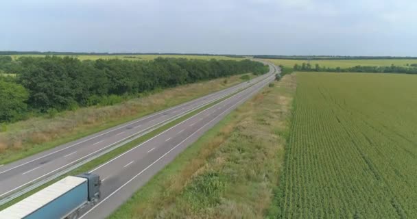 Vrachtwagens rijdt op de moderne snelweg rond groen gras bovenaanzicht. Vrachtwagen op de snelweg uitzicht vanaf de drone. — Stockvideo