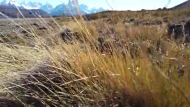 Payne Grande Dağı, Şili 'deki Nordenskjold Gölü, Patagonya. Payne Grande Dağı manzarası