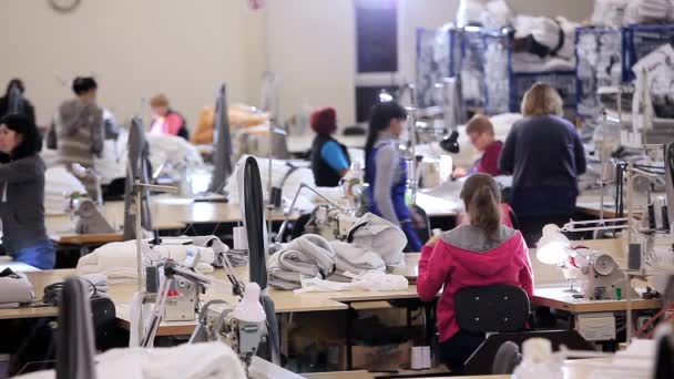 Рабочий процесс на швейном заводе. Многие швеи работают на швейной фабрике. Большая швейная мастерская. Швы производят продукцию на заводе. Швейная фабрика — стоковое видео