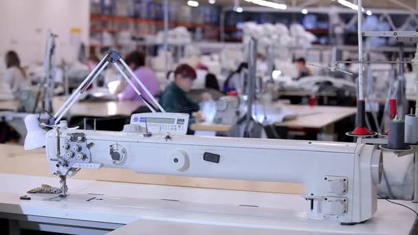 Muchas costureras trabajan en una fábrica de ropa. Proceso de trabajo en una fábrica de prendas de vestir. Gran taller de costura. Las costureras fabrican productos en una fábrica. Fábrica de ropa — Vídeo de stock