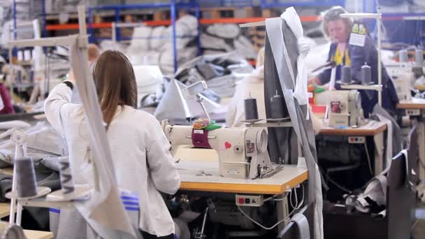 A seamstress works at a sewing factory. sewing production. Home textile production. Large sewing workshop — Vídeo de Stock