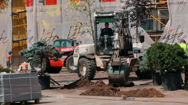 Los trabajadores plantan un árbol en la ciudad. Un gran árbol está plantado en la ciudad. La ecologización de la ciudad. Diseño del eje de tierra. — Vídeos de Stock