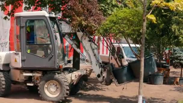 Ein Gabelstapler trägt einen Baum in einem Topf. Bäume pflanzen in der Stadt. Die Begrünung der Stadt — Stockvideo