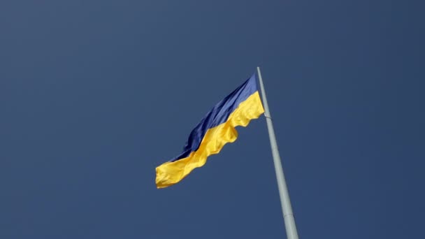 Bandeira ucraniana. Grande bandeira nacional da Ucrânia voa no céu azul. Grande azul amarelo. Férias nacionais — Vídeo de Stock