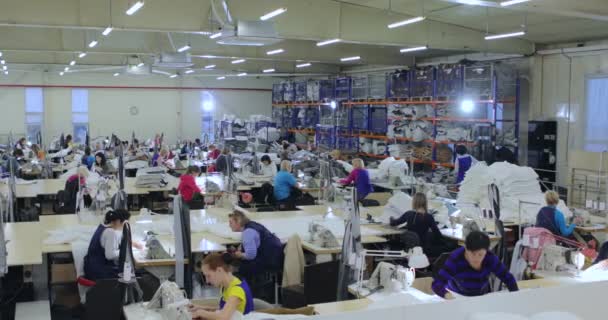 Producción de costura, las mujeres trabajan para máquinas de coser. Muchas costureras trabajan en una fábrica de ropa. Proceso de trabajo en una fábrica de prendas. — Vídeos de Stock