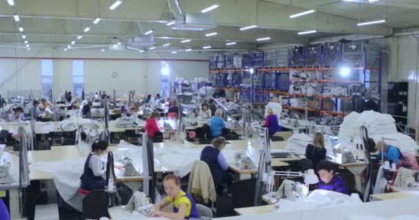 Muchas costureras trabajan en una fábrica de ropa. Proceso de trabajo en una fábrica de prendas de vestir. Gran taller de costura. Las costureras fabrican productos en una fábrica. Fábrica de ropa — Vídeo de stock