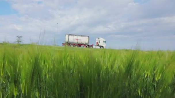 A tank truck is driving near a green wheat field. Green wheat, liquid cargo truck in the background. Frame for the image of eco-friendly transport — стоковое видео