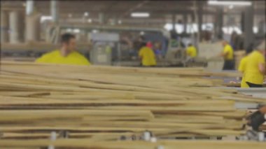 İnsanlar bir mobilya fabrikasının taşıma bandında çalışıyor. Mobilya fabrikasında tahta kurusıkıydı. Mobilya fabrikasında çalışma süreci.