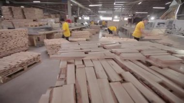 İşlenmiş ahşap parçaları düzgünce katlanmış. Marangozhanenin içinde. Bir marangoz fabrikasında çalışma süreci