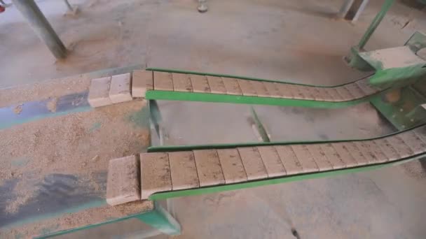 Процесс создания топливных брикетов, производство сжатого топлива опилок — стоковое видео
