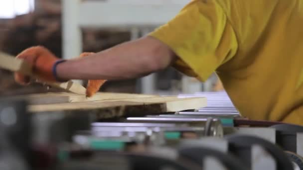 La gente trabaja en la cinta transportadora de una fábrica de muebles. Clasificación de espacios en blanco de madera en una fábrica de muebles. Proceso de trabajo en una fábrica de muebles. — Vídeos de Stock