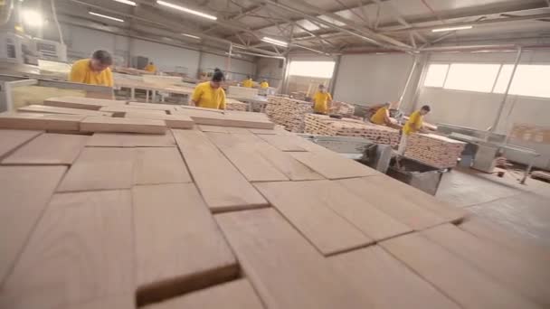 Almacén para barras de madera cuadradas procesadas de cerca. Preparación de barras para la creación de tableros de muebles. Muchas piezas de madera apiladas juntas — Vídeos de Stock