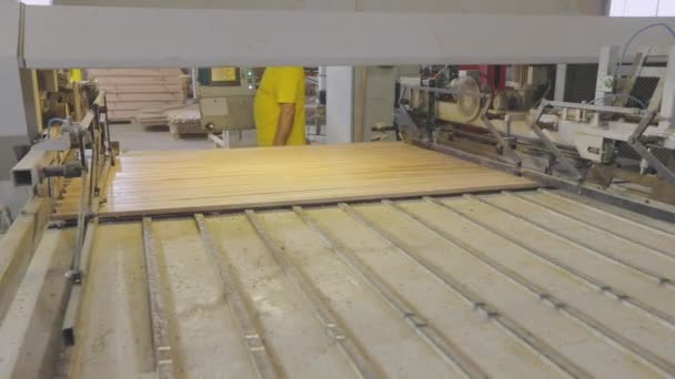 Jalur produksi otomatis di sebuah pabrik furnitur. Proses produksi papan perabotan. Sabuk konveyor otomatis di pabrik furnitur — Stok Video