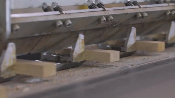 가구 보드 생산 과정. 가구 제조. 나무는 가구 생산을 위해 사용 된다. 가구 공장의 자동 생산 라인. 가구 공장에 있는 자동 컨베이어 벨트 — 비디오