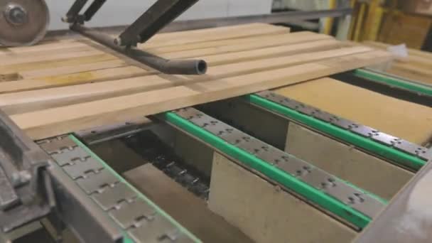 Pracovní proces v továrně na nábytek. Proces vytváření nábytkové desky. Automatická výrobní linka — Stock video