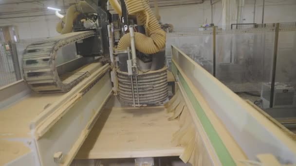 Fräsning av en träskiva. Industriell inredning. Modern industriell utrustning. CNC träbearbetningsmaskin. Automatiserad träsnidning — Stockvideo