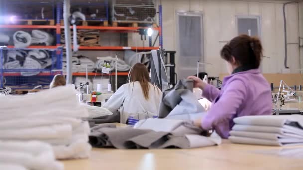 Cucitrici in una fabbrica di abbigliamento. Flusso di lavoro in una fabbrica tessile. Moderno laboratorio di cucito. All'interno di una fabbrica tessile — Video Stock