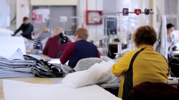 Working process in the workshop of a garment factory. Work at a sewing factory. Seamstresses work at a textile factory — Vídeo de Stock