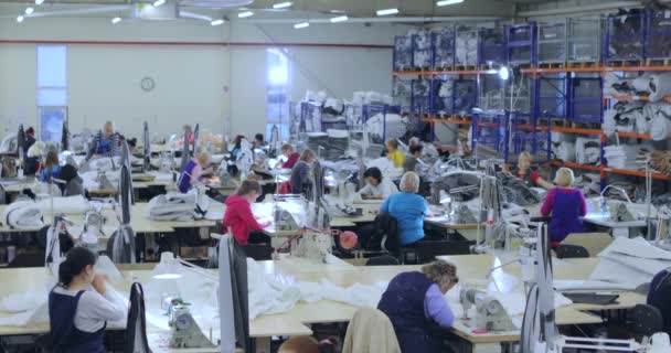 Naaiproductie, vrouwen werken voor naaimachines. Veel naaisters werken in een kledingfabriek. Werkproces in een kledingfabriek. — Stockvideo