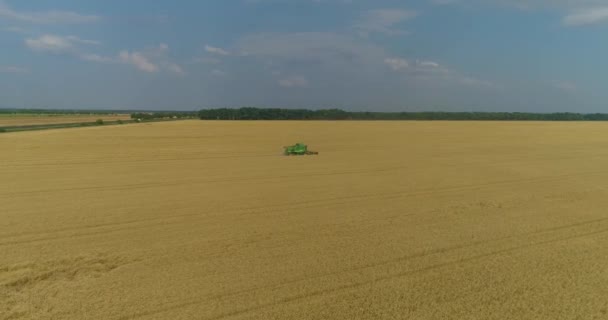 Récolteuse verte dans la vue de drone de champ. Vue de dessus d'une moissonneuse-batteuse qui récolte du blé. Récolte de blé — Video