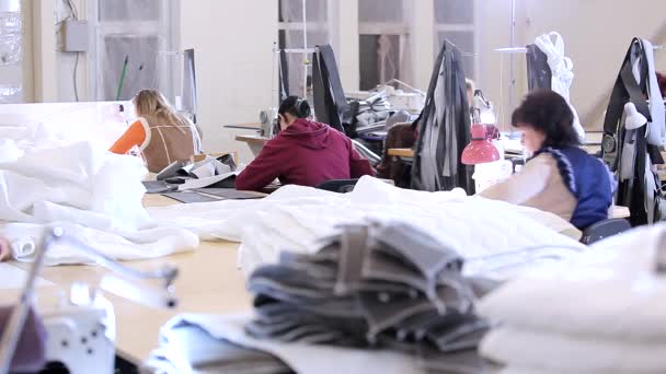 Proceso de trabajo en el taller de una fábrica de ropa. Trabajo en una fábrica de costura. Las costureras trabajan en una fábrica textil — Vídeos de Stock