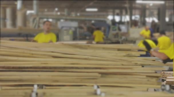 La gente lavora sul nastro trasportatore di una fabbrica di mobili. Smistamento di grezzi di legno in una fabbrica di mobili. Processo di lavorazione in una fabbrica di mobili. — Video Stock