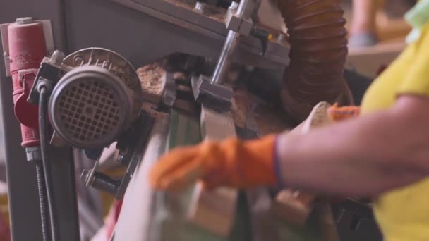 Um trabalhador carrega blocos de madeira na máquina para processamento. Fluxo de trabalho em uma fábrica de móveis — Vídeo de Stock