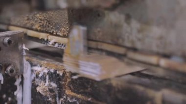 Makine ahşap bloğun kenarına yapıştırıcı sürer. Mobilya fabrikasında otomatikleştirilmiş üretim hattı