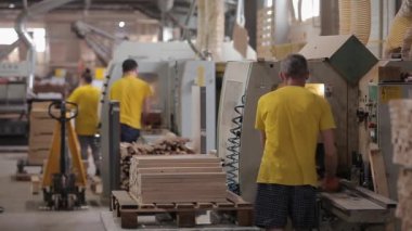 Bir işçi işlem için makineye ahşap bloklar yükler. Mobilya fabrikasında çalışma