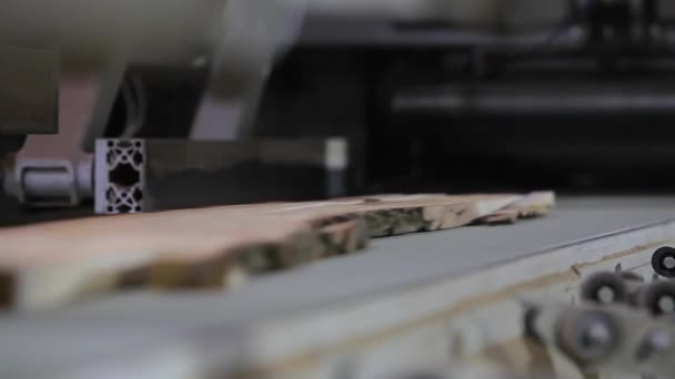 Segare il legno su una macchina automatica. Il legno viene segato a pezzi in una segatrice — Video Stock